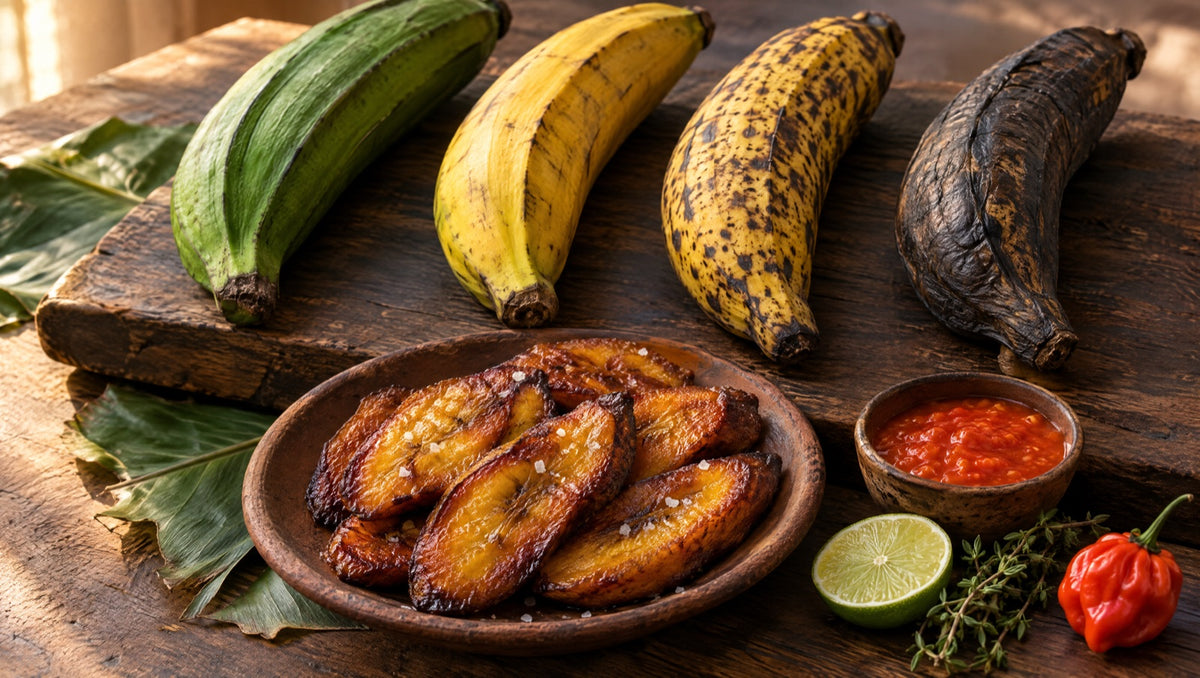 Plantain: The Banana We Cook Green, Yellow and Black